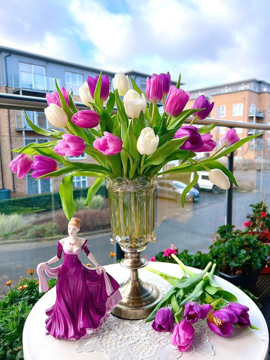 Tử vi ngày 31/5/2022 của 12 cung hoàng đạo